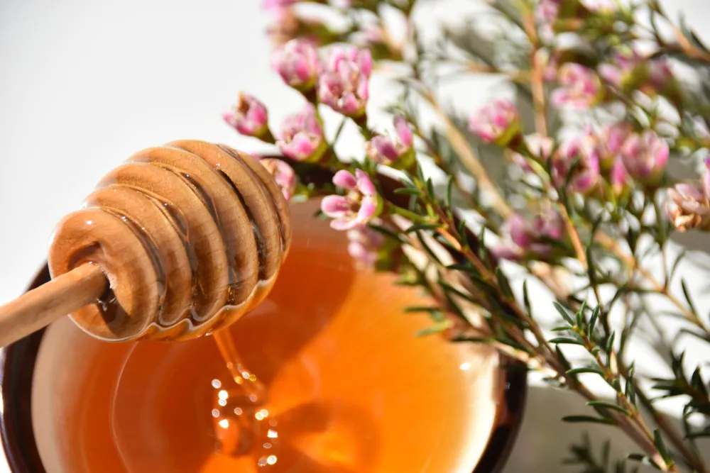 Understanding what makes mānuka honey effective