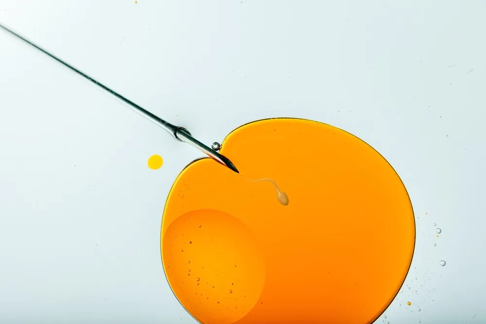 IVF And miscarriage still aren’t properly supported at work