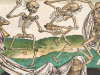 Risk of breaking a bone depends on where you live