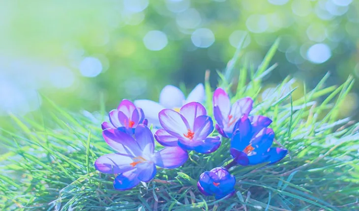 hope