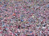 MenB – will Parliament cede to a million petitioners?