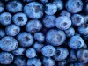 Why are blueberries good for you?