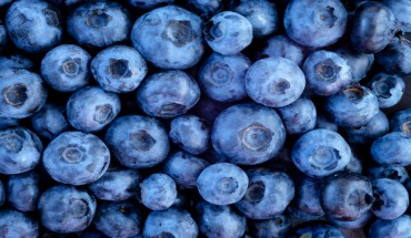 The Hippocratic Post - blueberries