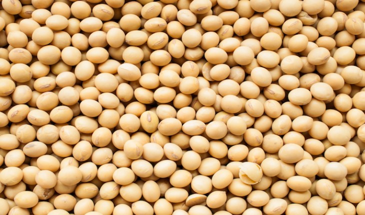 The Hippocratic Post - soya
