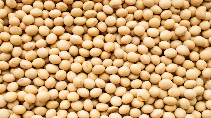 The Hippocratic Post - soya