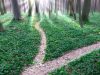 Why we need consumer guides for complementary and alternative medicine
