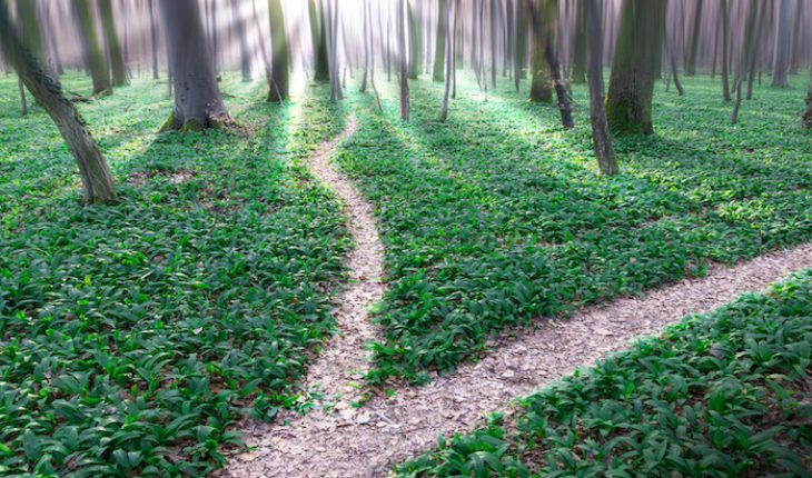 The Hippocratic Post - alternative medicine
