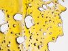 Medical cannabis: snake oil or health solution?