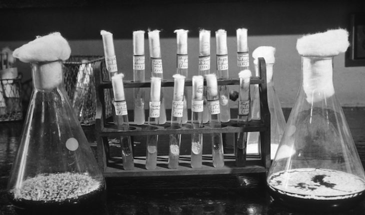 The Hippocratic Post - antimicrobial resistance