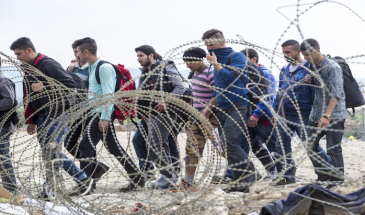 The Hippocratic Post - migrants