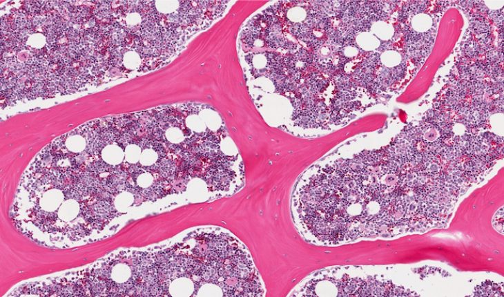 The Hippocratic Post - stem cell