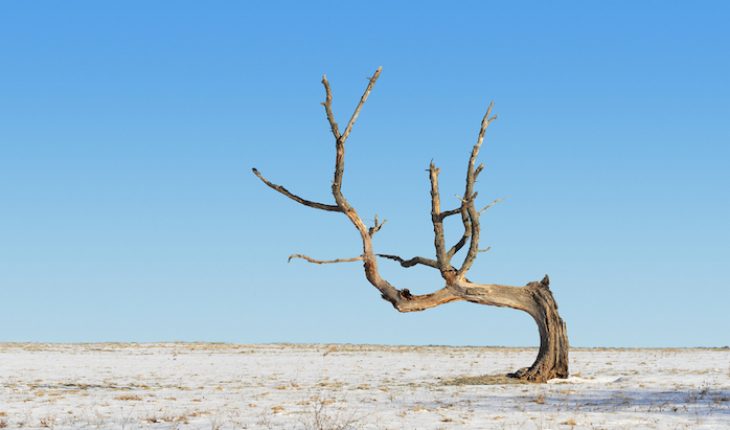 The Hippocratic Post - pain