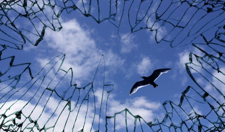 The Hippocratic Post - misdiagnosis