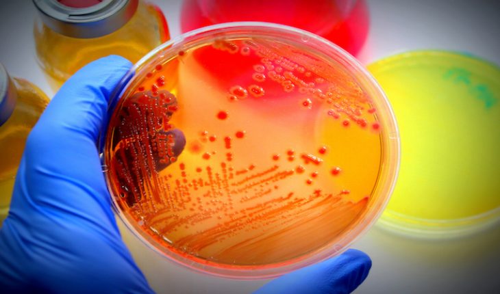 The Hippocratic Post - antibiotic