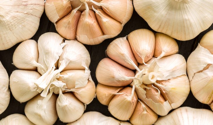 garlic