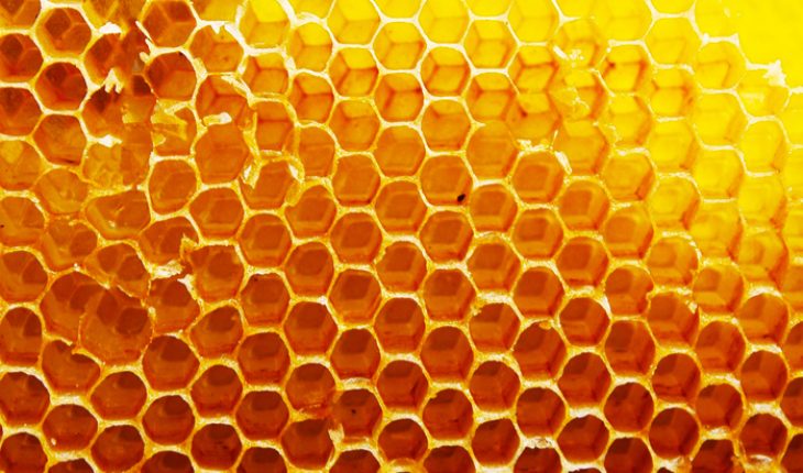 manuka honey