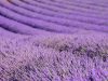 Feeling fraught? 5 tips to master your anxiety