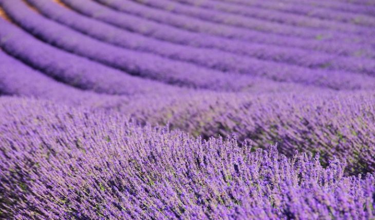 master your anxiety senses