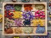 Common herbs and their uses