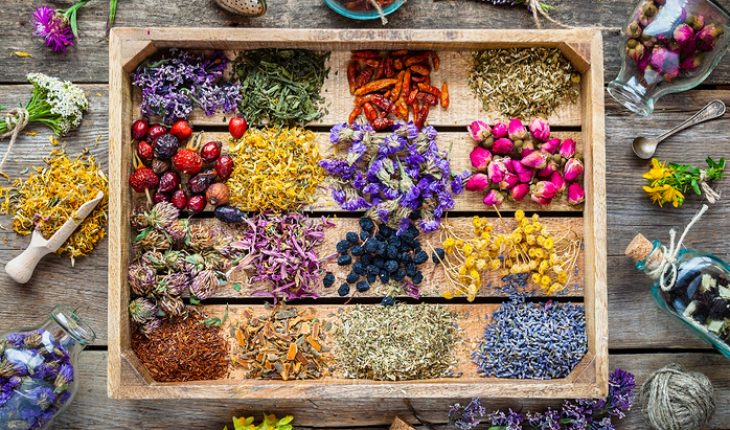 herbs