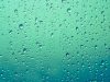What is grief – Julia Samuel