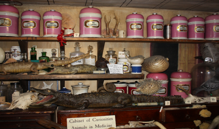 apothecaries