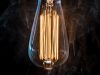 Electricity: The Spark of Life