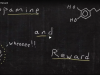 Dopamine and Reward