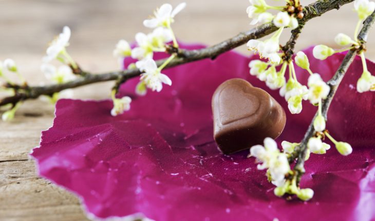 The Hippocratic Post - dark chocolate