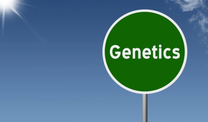 The Hippocratic Post - DNA profiling