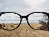 A vision for the future