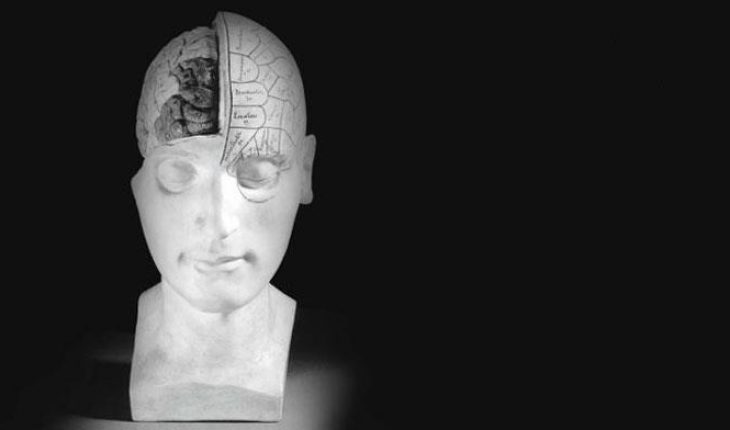 Statue head showing brain - Journeys through Medicine