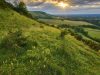 In A South Downs Way