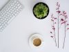Mental health in the workplace