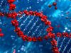 Genetic clues for understanding lymphoma
