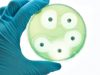 Defending ourselves from antibiotic resistance