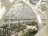 Revamped Kew – saving plants that may help to cure cancer