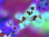 Nanoparticle cancer therapy