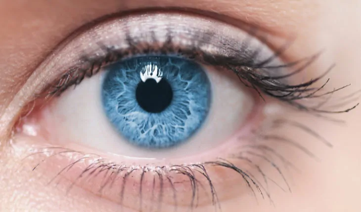 sight