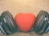 Sudden Cardiac Death – Number One Killer in the UK