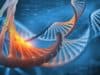 Genome sequencing could curb hospital infection outbreaks