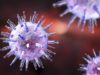 First Comprehensive Survey of Virus DNA Found Within Cancer Cells