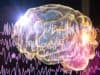 Liberia – Growing Cohort of Epilepsy Patients Shows How Life-changing Treatment is Possible