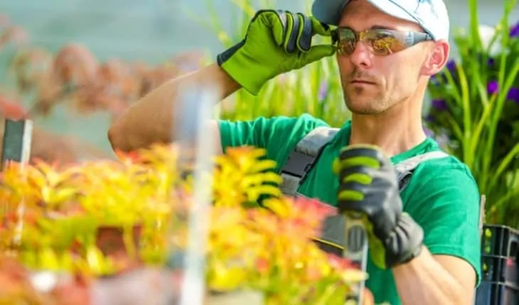 Garden Health and Safety Tips