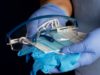 MPs demand urgent action on PPE & radiotherapy capacity