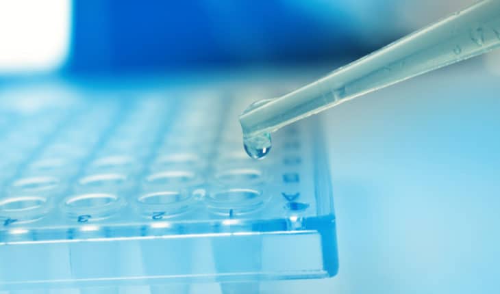 stem cell