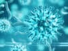 Bacterial co-infections & antimicrobial resistance