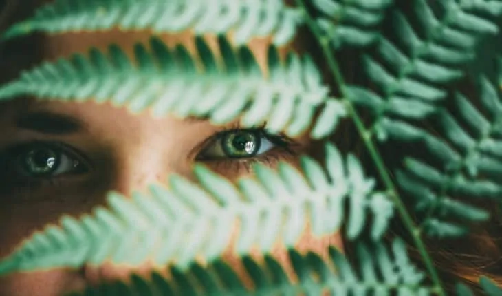 stare