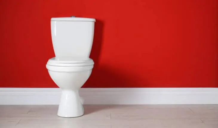 toilet