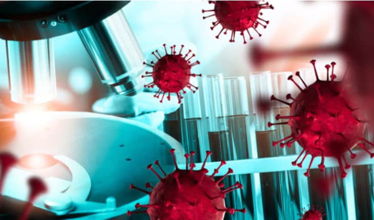 antibodies